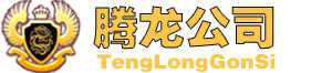 腾龙国际
